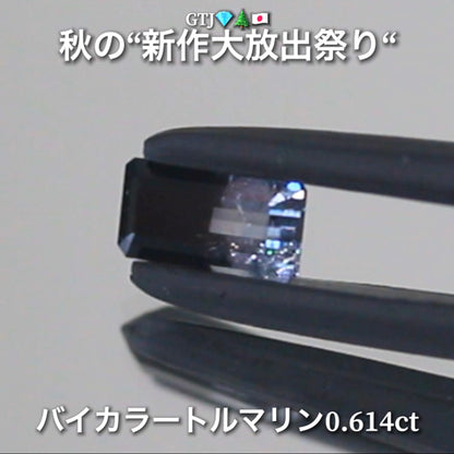 個性的で魅力的なバイカラートルマリン0.614ct登場✨綺麗な組み合わせと珍しい組み合わせ💎秋の“新作大放出祭り🍁”でご紹介で〜す👍