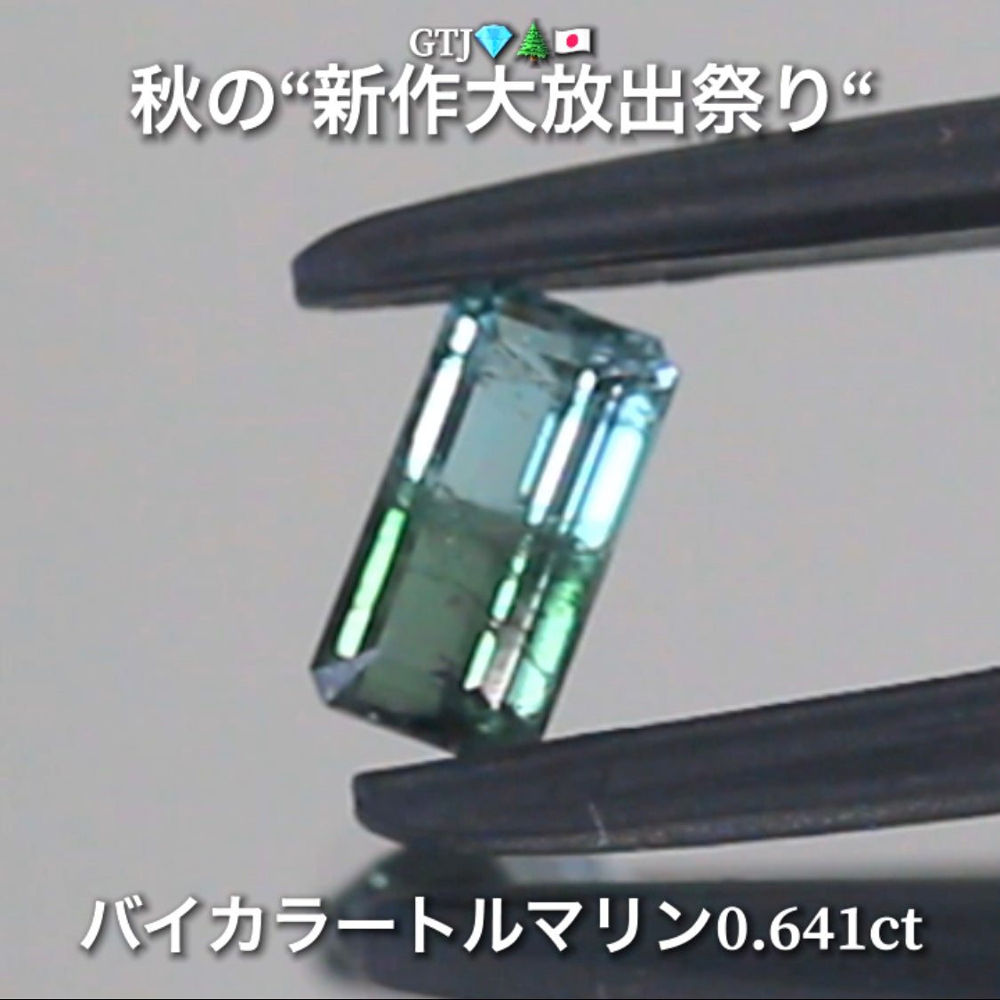 個性的で魅力的なバイカラートルマリン0.641ct登場✨綺麗な組み合わせと珍しい組み合わせ💎秋の“新作大放出祭り🍁”でご紹介で〜す👍