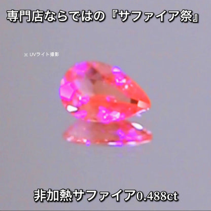 非加熱ピンク0.488ct💎専門店ならではの“サファイア祭り”✨魅力的な即決価格を付けてオークションでご紹介❗️こちらは本日「22時00分終了」となります⏰