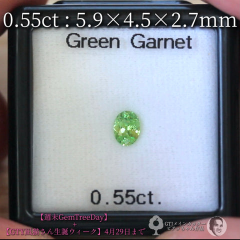 見事な艶＆テリ✨グリーンガーネット0.55ct