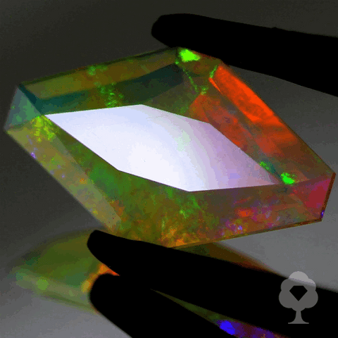 ゲオ先生作品特集「ファンシーカイトカット」エチオピアオパール1.61ct✨ 3/21 プレミア配信💎🌳⚡️