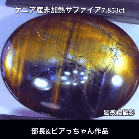 美色ブルーとゴールドシーンのバイカラー✨部長＆ピアっちゃん共同作品💎ケニア産非加熱スターサファイア7.853ct💎