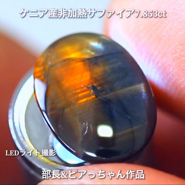 美色ブルーとゴールドシーンのバイカラー✨部長＆ピアっちゃん共同作品💎ケニア産非加熱スターサファイア7.853ct💎