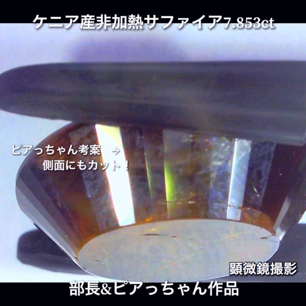 美色ブルーとゴールドシーンのバイカラー✨部長＆ピアっちゃん共同作品💎ケニア産非加熱スターサファイア7.853ct💎