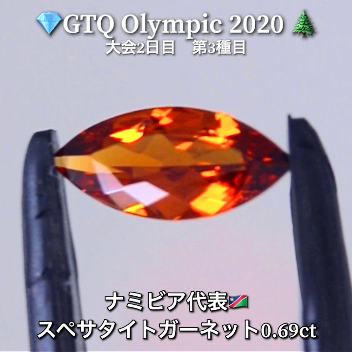 ナミビア代表🇳🇦スペサタイトガーネット 0.69ct💎GTQ Olympic 2020大会2日目🎊第3種目🌲最落ナシ1円スタート❗️魅力的な“即決価格”付き✌️こちらは本日「20時30分終了」となります🕣