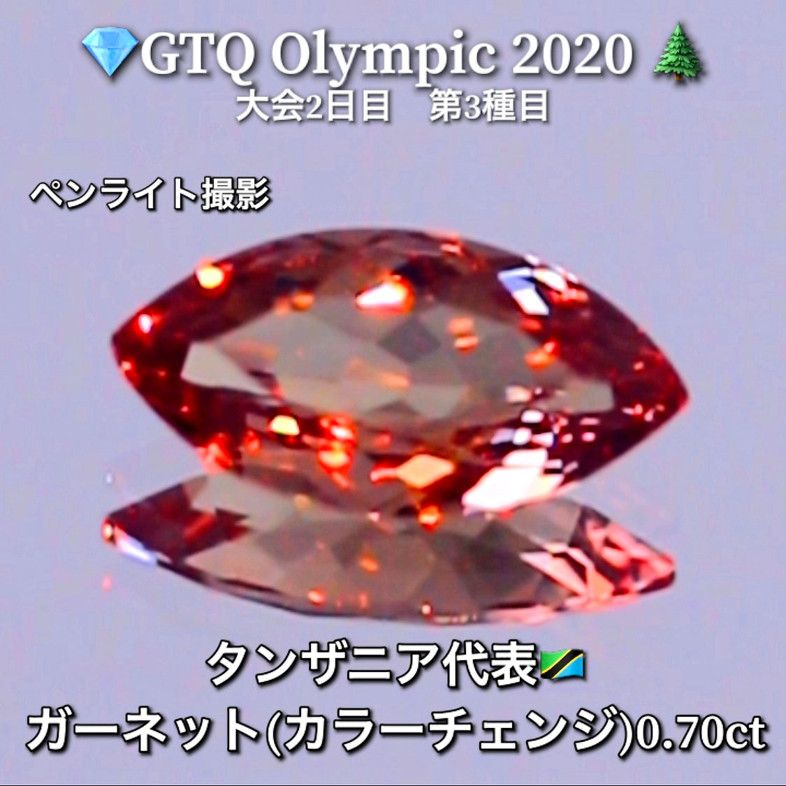 タンザニア代表🇹🇿ガーネット(カラーチェンジ) 0.70ct💎GTQ Olympic 2020大会2日目🎊第3種目🌲最落ナシ1円スタート❗️魅力的な“即決価格”付き✌️こちらは本日「20時30分終了」となります🕣