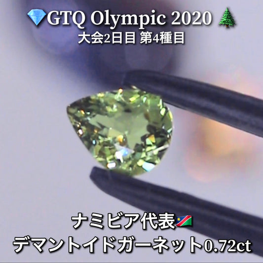 ナミビア代表🇳🇦デマントイドガーネット 0.72ct💎GTQ Olympic 2020大会2日目🎊第4種目🌲最落ナシ1円スタート❗️魅力的な“即決価格”付き✌️こちらは25日「14時00分終了」となります🕑