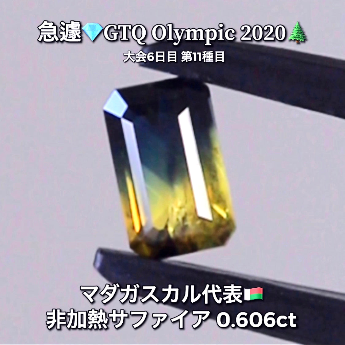 THE バイカラー✨非加熱サファイア0.606ct✨ピアっちゃん作品💎マダガスカル代表🇲🇬GTQ Olympic 2020大会6日目🎊第11種目🌲魅力的な“即決価格”付き✌️8月3日「12時34分終了」となります⏰