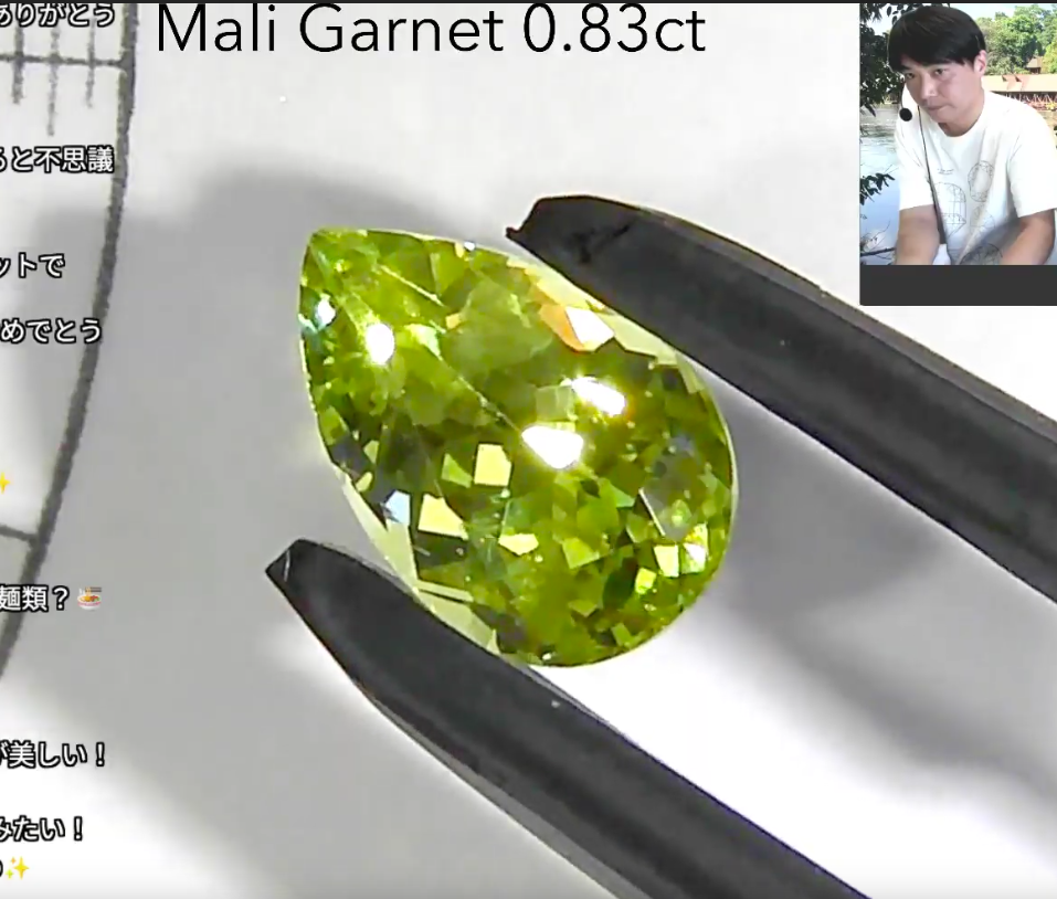 マリガーネット☆0.83CT | paulmukasasss.com