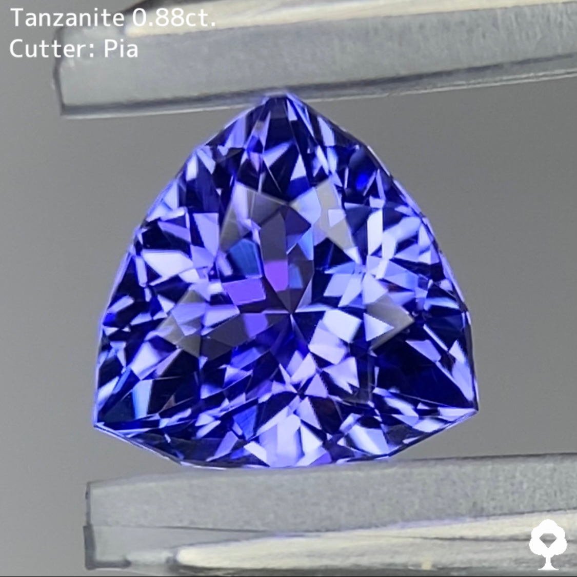 【お客さま専用】湧き上がる細やかな煌めきの美色ファンシートリリアント★タンザナイト 0.88ct ピアッちゃん作品