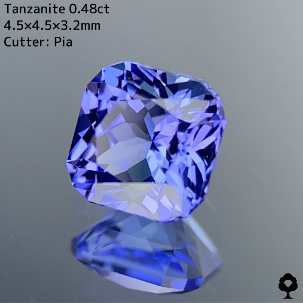 交渉成立専用ページ【エレガントカット】タンザナイト 0.48ct