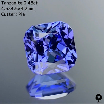 交渉成立専用ページ【エレガントカット】タンザナイト 0.48ct