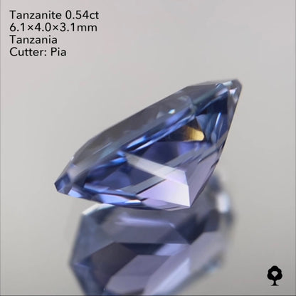 【SOLD OUT】タンザナイト0.54ct ピアッちゃん作品 3/31ライブチャットオークション