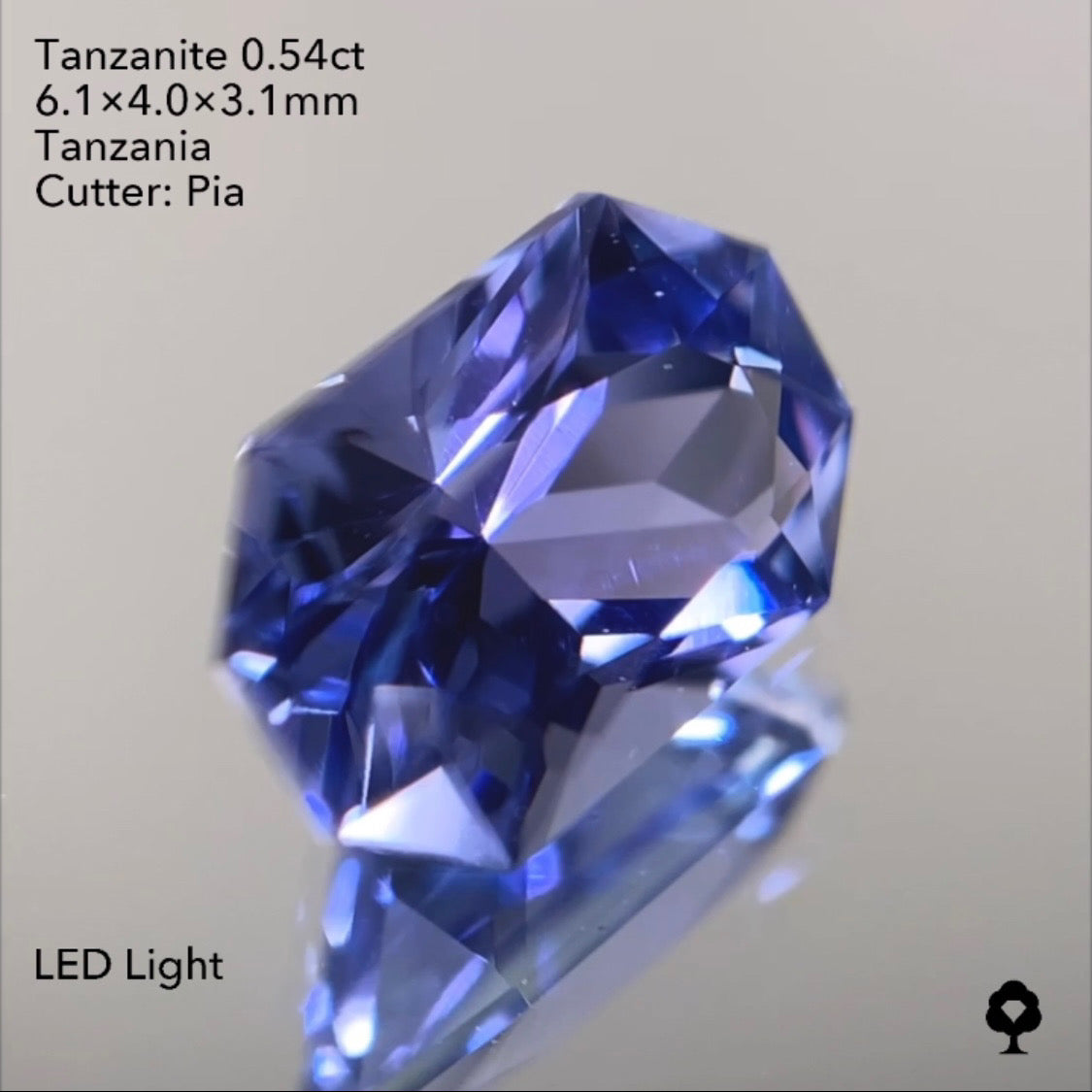 【SOLD OUT】タンザナイト0.54ct ピアッちゃん作品 3/31ライブチャットオークション