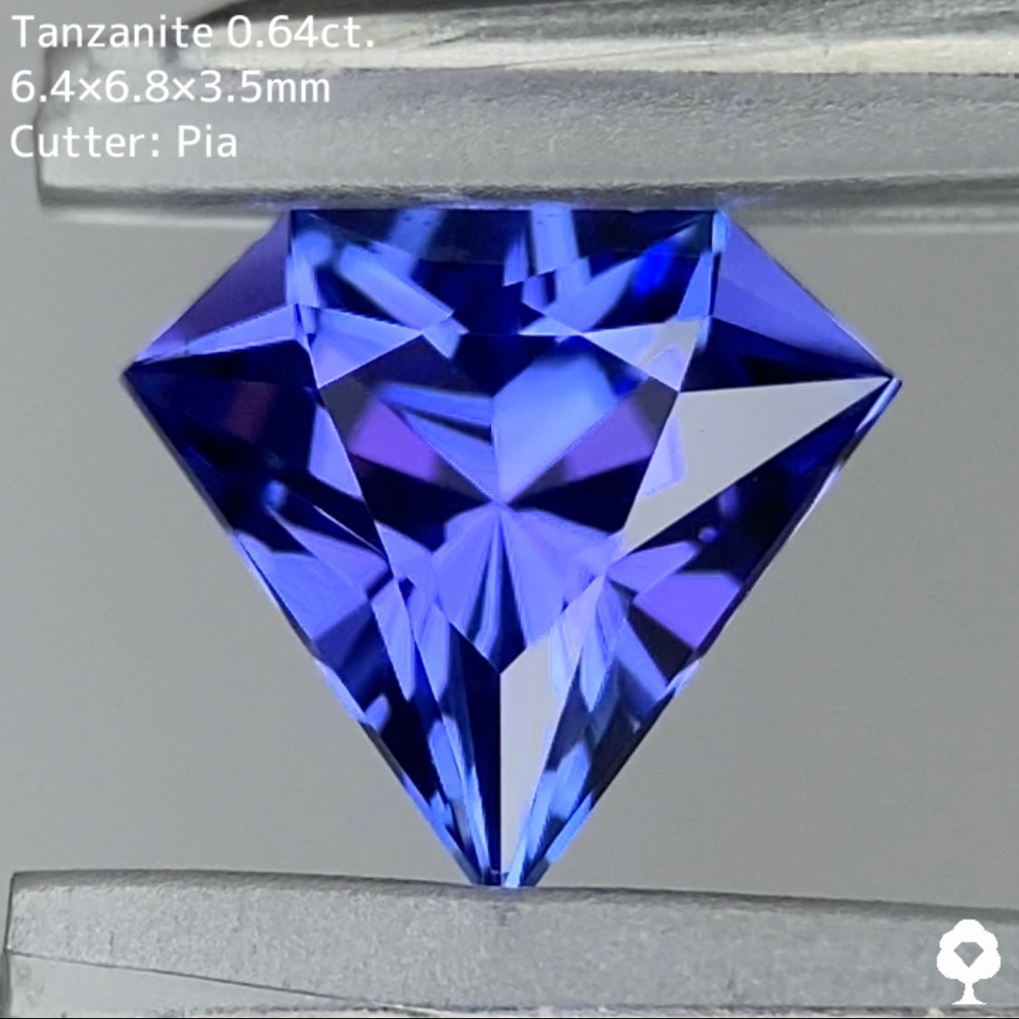 【お客さま専用】タンザナイト 0.64ct ピアッちゃん作品