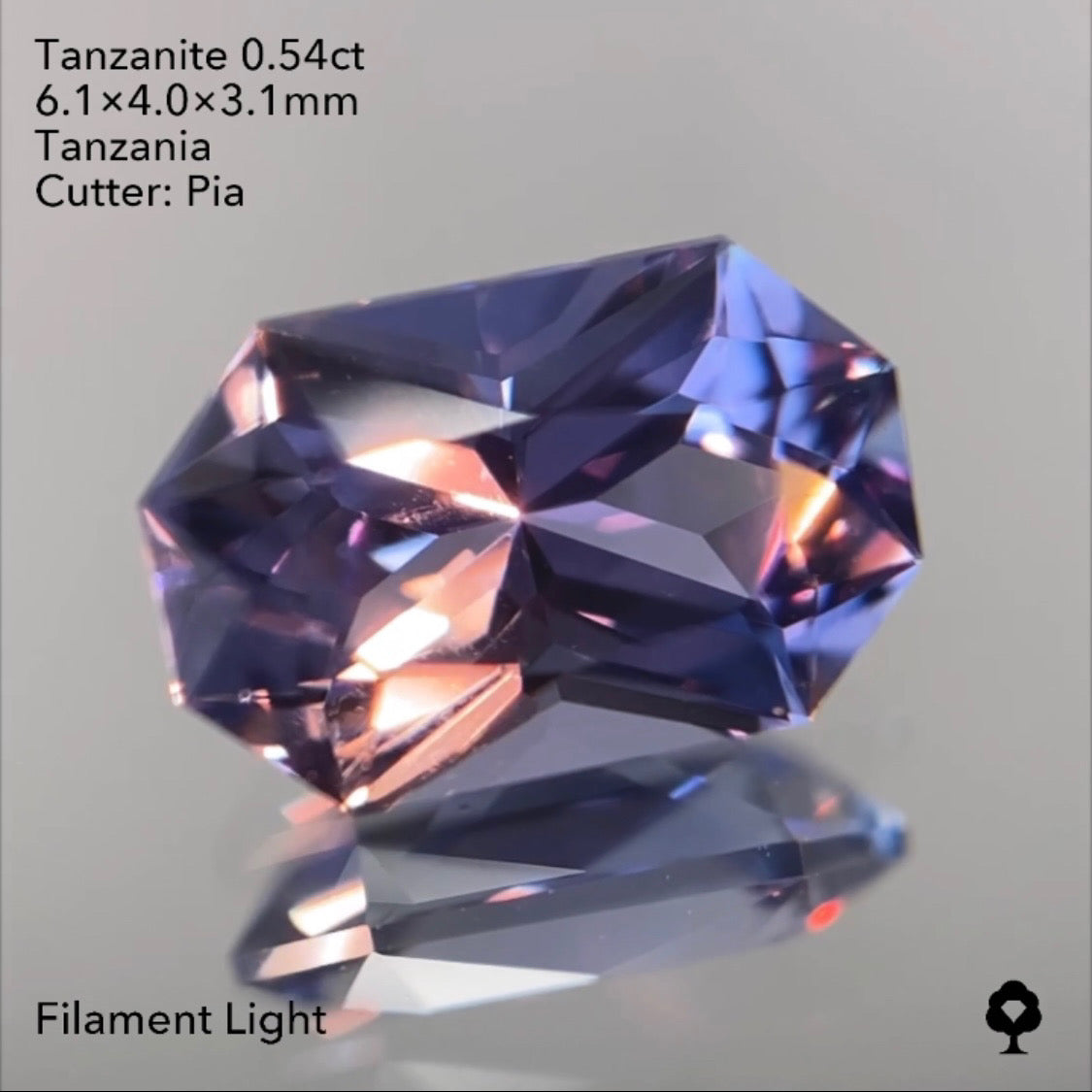 【SOLD OUT】タンザナイト0.54ct ピアッちゃん作品 3/31ライブチャットオークション