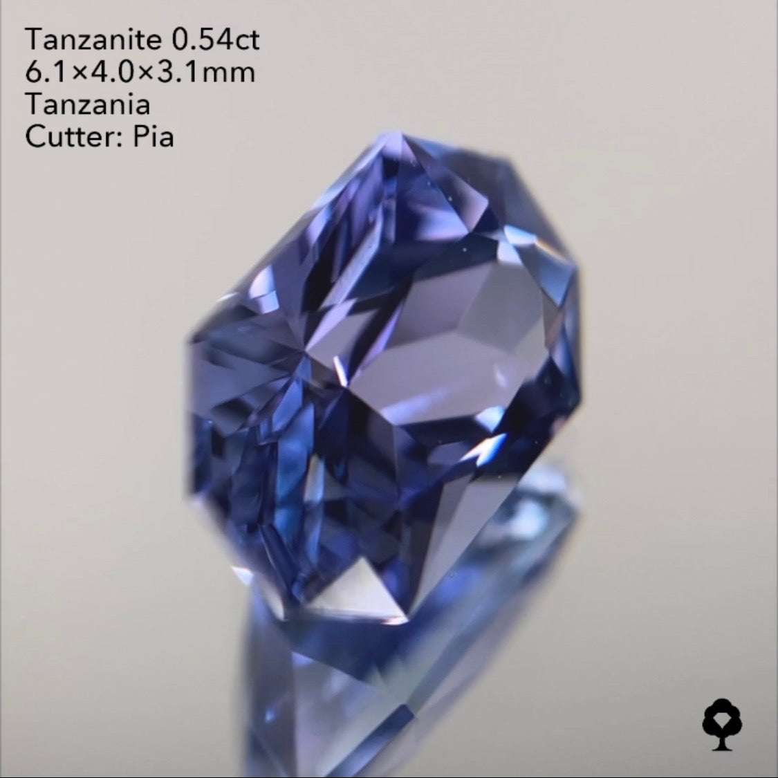 【SOLD OUT】タンザナイト0.54ct ピアッちゃん作品 3/31ライブチャットオークション